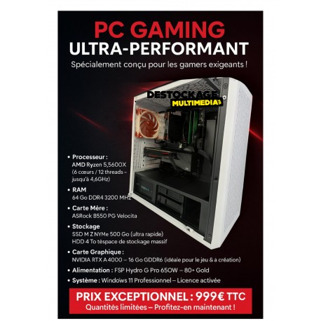 PC GAMING  Ryzen 5 5600X (6 cœurs / 12 threads - jusqu'à 4.6GHz) 64 Go DDR4 500GO SSD NVME 4TO NVIDIA RTX A4000 16GB WINDOWS 11