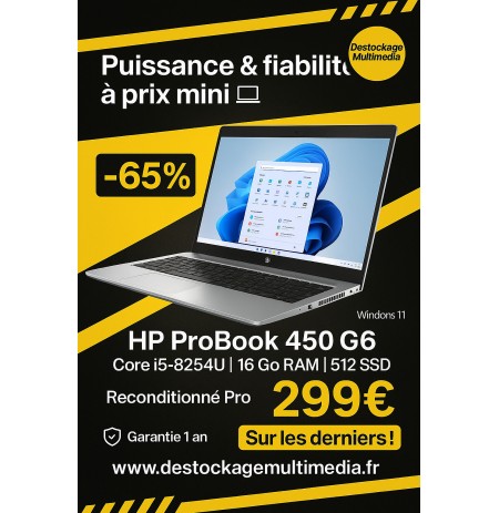 HP ProBook 450 G6  Core i5-8254U 16 Go  256 Go SSD  Windows 11 Pro